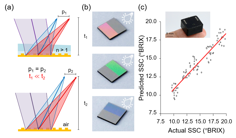 Solid immersion grating microspectrometer (SIG-μSPEC) for high angular dispersion. (a) Schematic illustration for SIG. (b) Optical images of the SIG under various angular illumination. (c) Fully-packaged SIG-μSPEC and the prediction results of the SSC level of the fruit