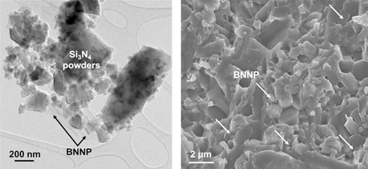 Figure 2. Microstructures and characterization of BNNP/Si3N4 nanocomposite powders and nanocomposites.