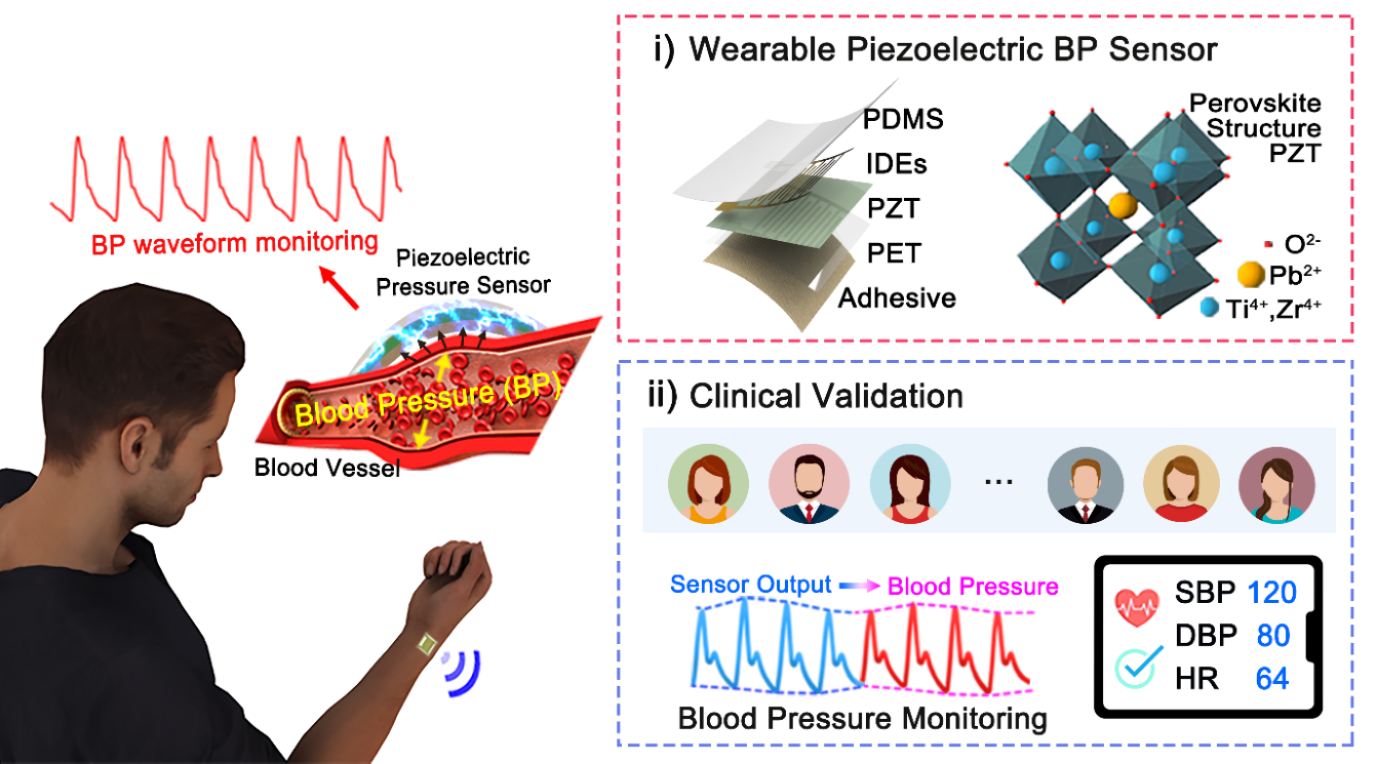 Figure 1. The schematic illustration of the overall concept for a wearable piezoelectric blood pressure sensor (Figure 1 from Adv. Mater. 35(26), 2301627 (2023))