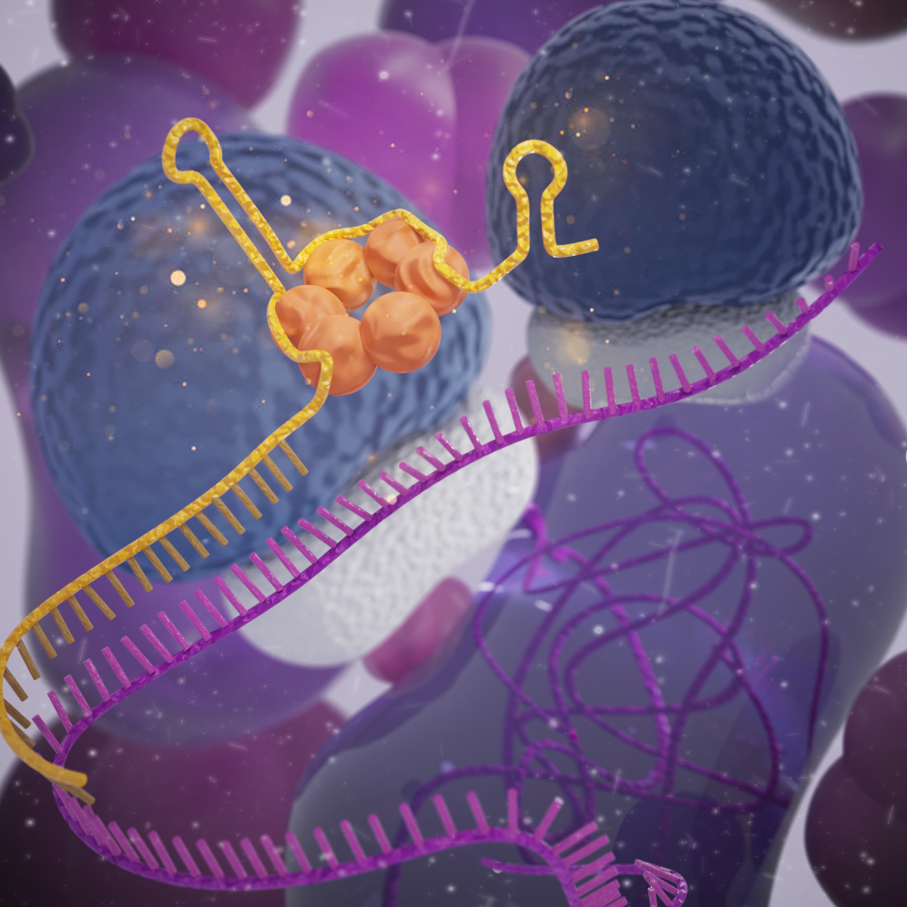 Figure: Synthetic small RNA binding to a target mRNA, which inhibits gene expression in diverse bacteria.