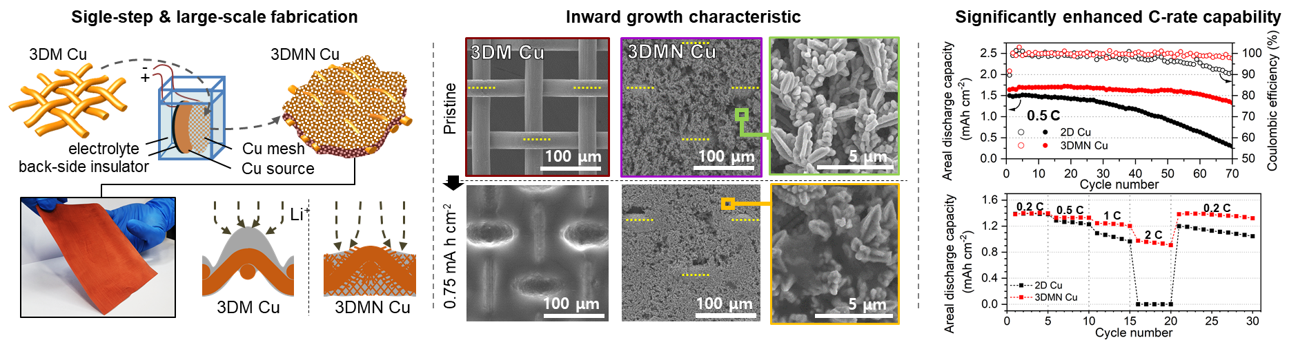 Figure 3. Facile, large-scale fabrication of hierarchically structured current collectors with selective inward growth characteristics and its performance as a lithium metal battery anode. [Copyright: Advanced Energy Materials 2023, 13, 2202321.]