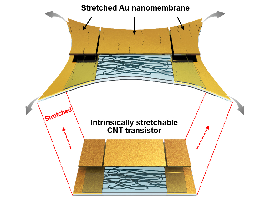 Figure caption; Intrinsically stretchable electronic devices on an elastomeric substrate