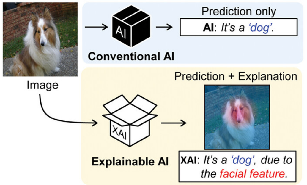 Figure 1. Concept of explainable AI (XAI)