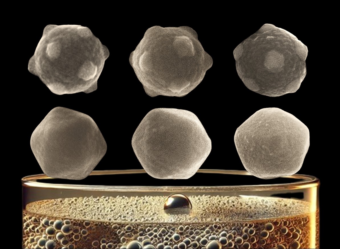 Schematic illustration of icosahedrons showcasing three types of symmetry, formed by the emulsion technique.