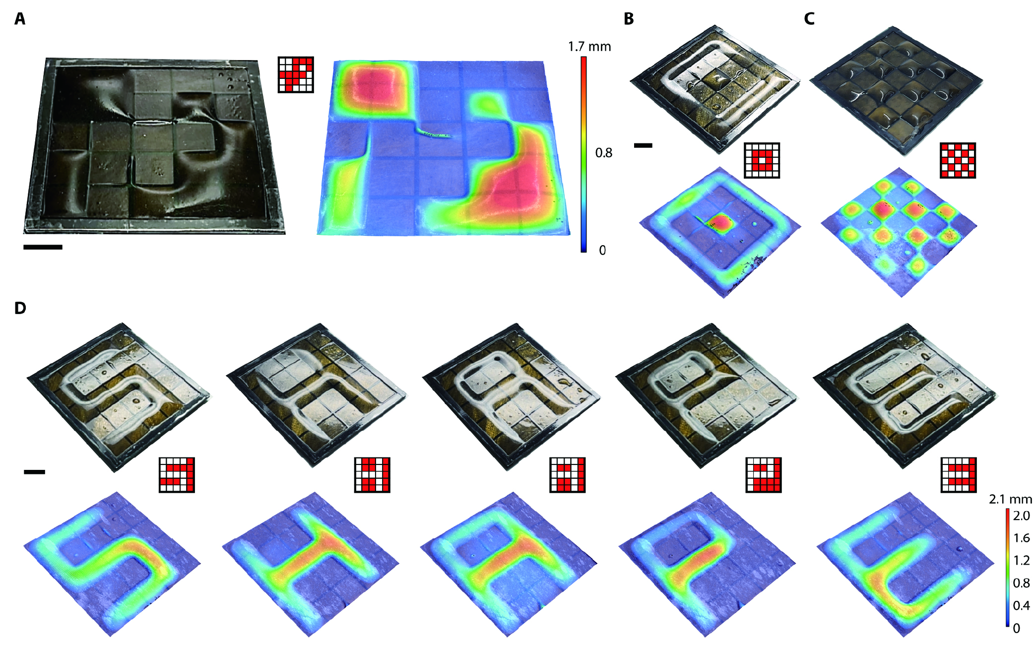 Figure 1. 3D shape expressions of the developed shape-morphing actuator.