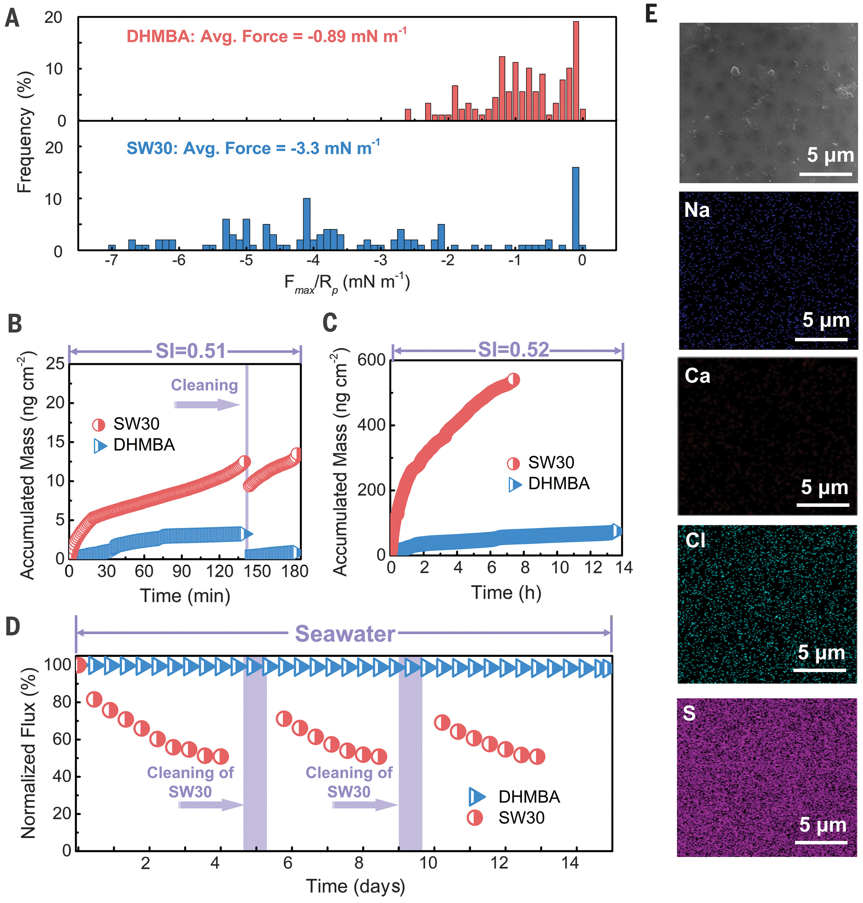 Figure 2. Fouling comparison of the DHMBA and SW30 membranes in seawater desalination. (A) Adhesion force normalized by particle diameter distribution between a COOH-modified particle probe and the DHMBA or SW30 membranes. (B and C) QCMD mass-time plots of the DHMBA and SW30 membranes toward a mixed solution. (D) Performance of the DHMBA and SW30 membranes toward real seawater desalination for 15 days. (E) FE-SEM images of the top surface of the DHMBA membrane after the seawater experiment and the corresponding EDS mapping of various elements.