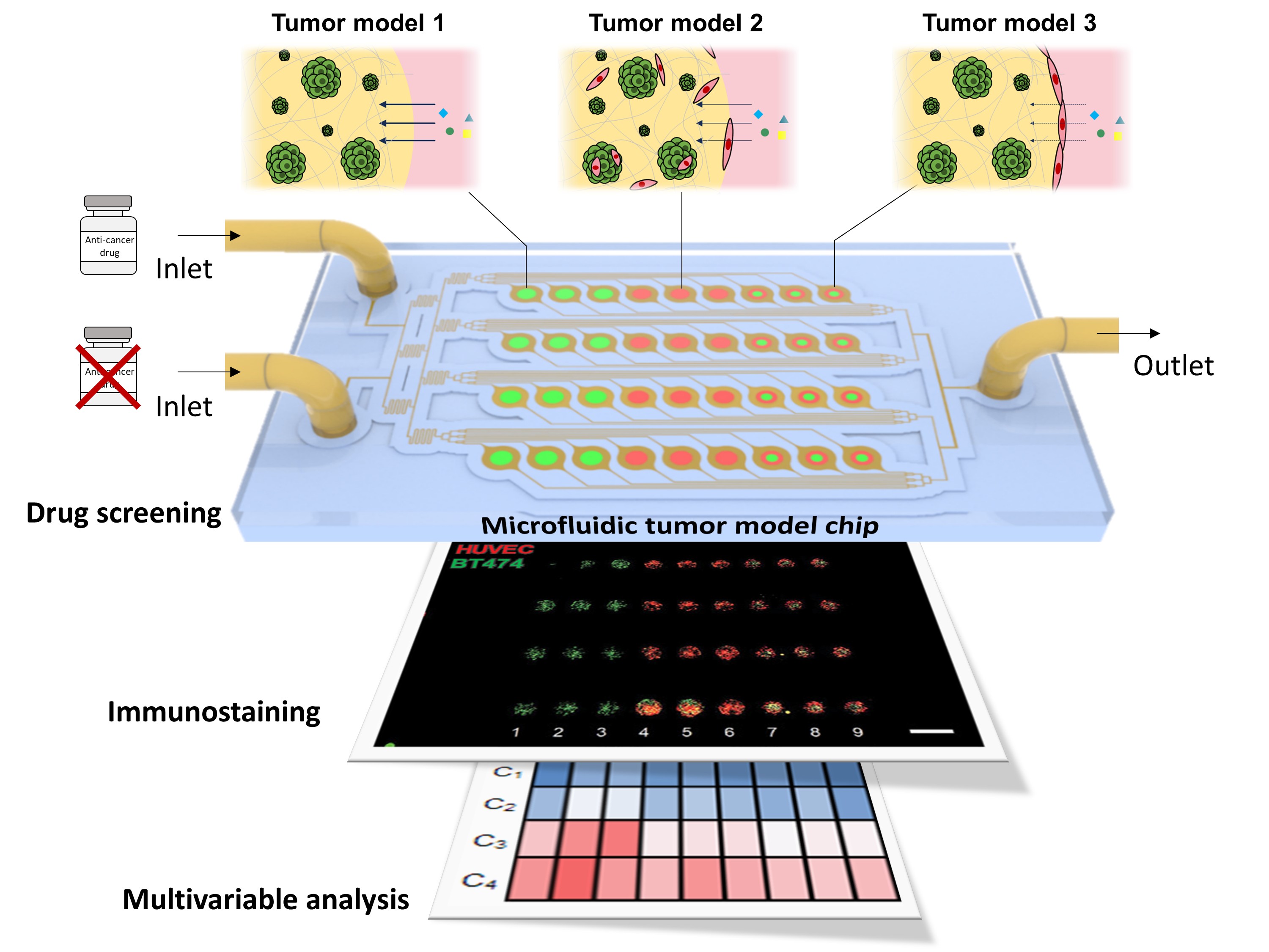 Tumor model chip capable of evaluating the efficacy of anticancer drugs under different conditions on a microfluidic in vitro cell culture and analysis platform 