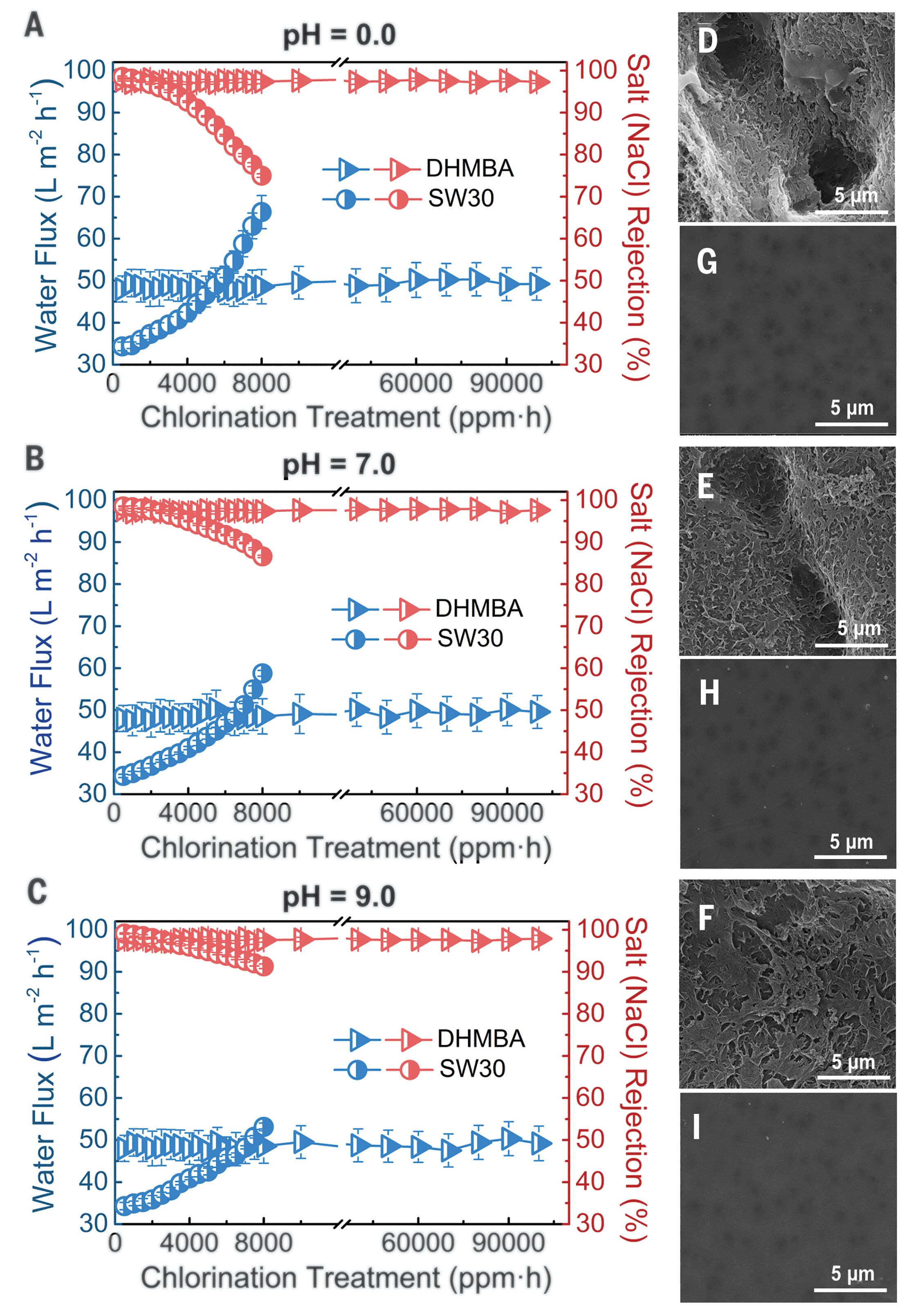 Figure 1. Water flux and salt rejection performance of the DHMBA and SW30 membranes exposed to NaOCl aqueous solution at pH 0.0 (A), pH 7.0 (B), and pH 9.0 (C). FE-SEM images of the top surface of the SW30 (D to F) and DHMBA (G to I) membranes after a total free chlorine exposure.