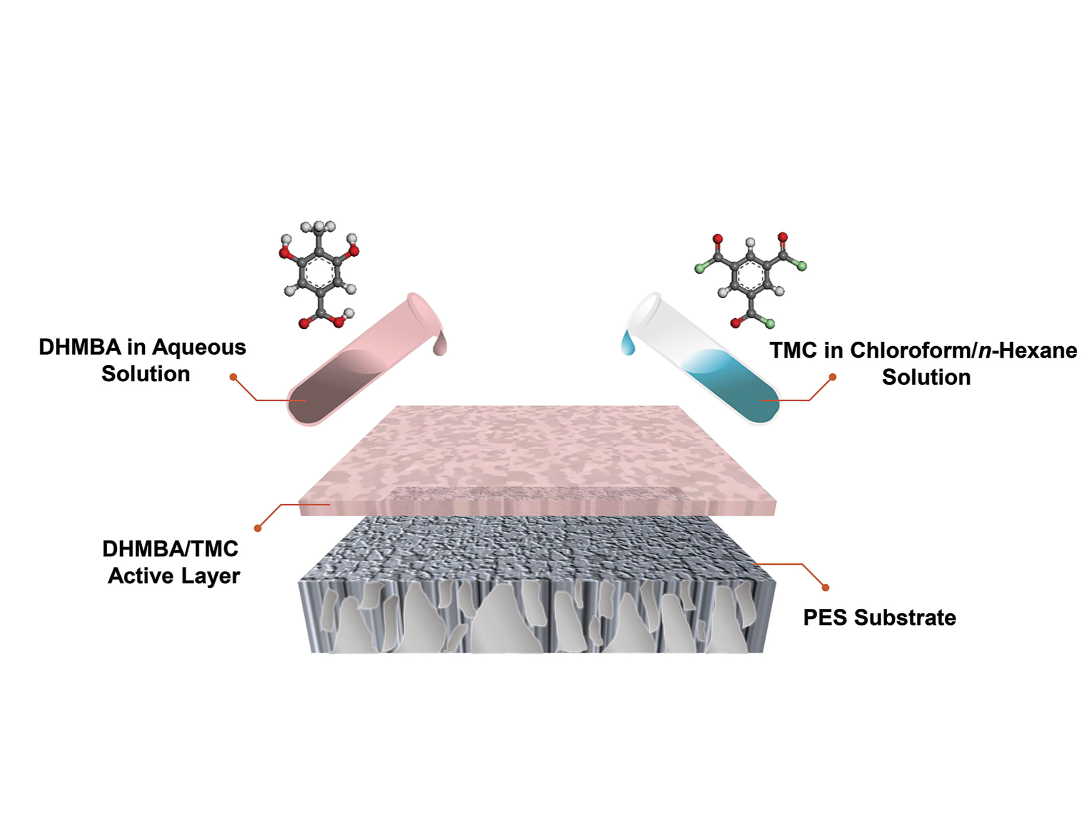 Design, fabrication procedure, and desalination performance of polyester reverse osmosis (RO) membranes.